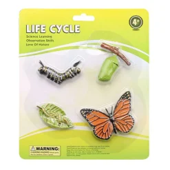 Levenscyclus Vlinder Speelfiguren Set> Discount