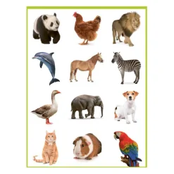 Lieve Dieren Kleur- en Stickerboek - 3-5 Jaar-Deltas Best