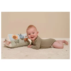 Activiteitendriehoek Little Farm-Little Dutch New