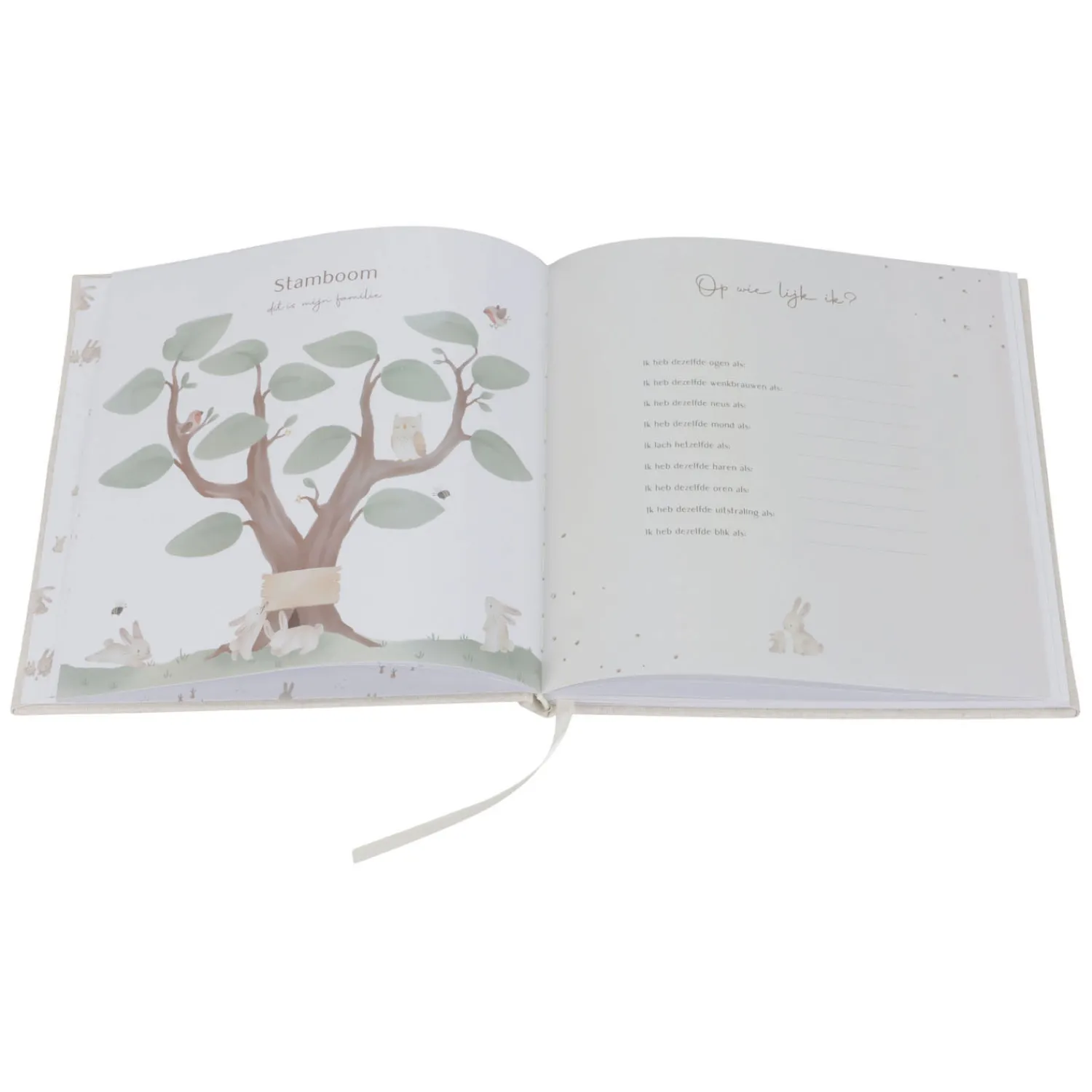 Little Dutch Babyboek Mijn Eerste Jaar Baby Bunny FSC Best