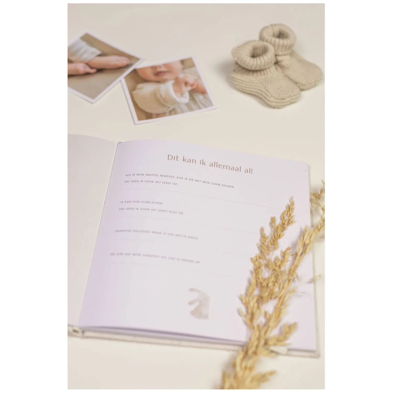 Little Dutch Babyboek Mijn Eerste Jaar Baby Bunny FSC Best