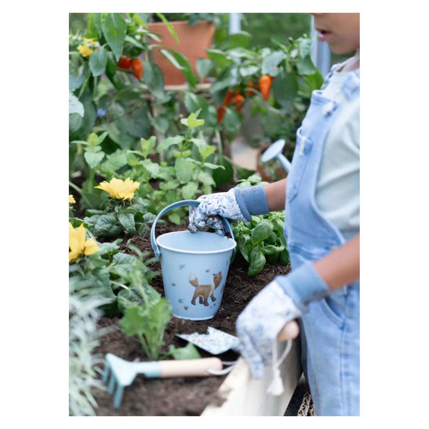 Emmer Forest Friends>Little Dutch Clearance