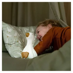 Nachtlampje Little Goose-Little Dutch Online