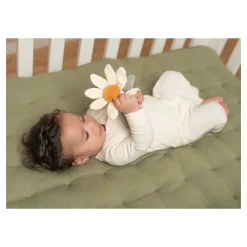 Rammelaar Bloem Little Farm><noscript><img width=