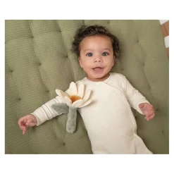 Rammelaar Bloem Little Farm><noscript><img width=