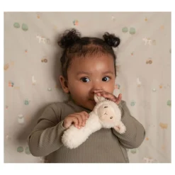 Rammelaar Schaap Little Farm-Little Dutch Sale