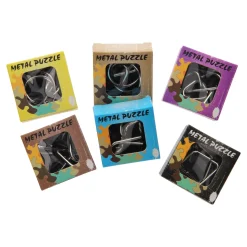 Metalen Mini Breinpuzzel- New