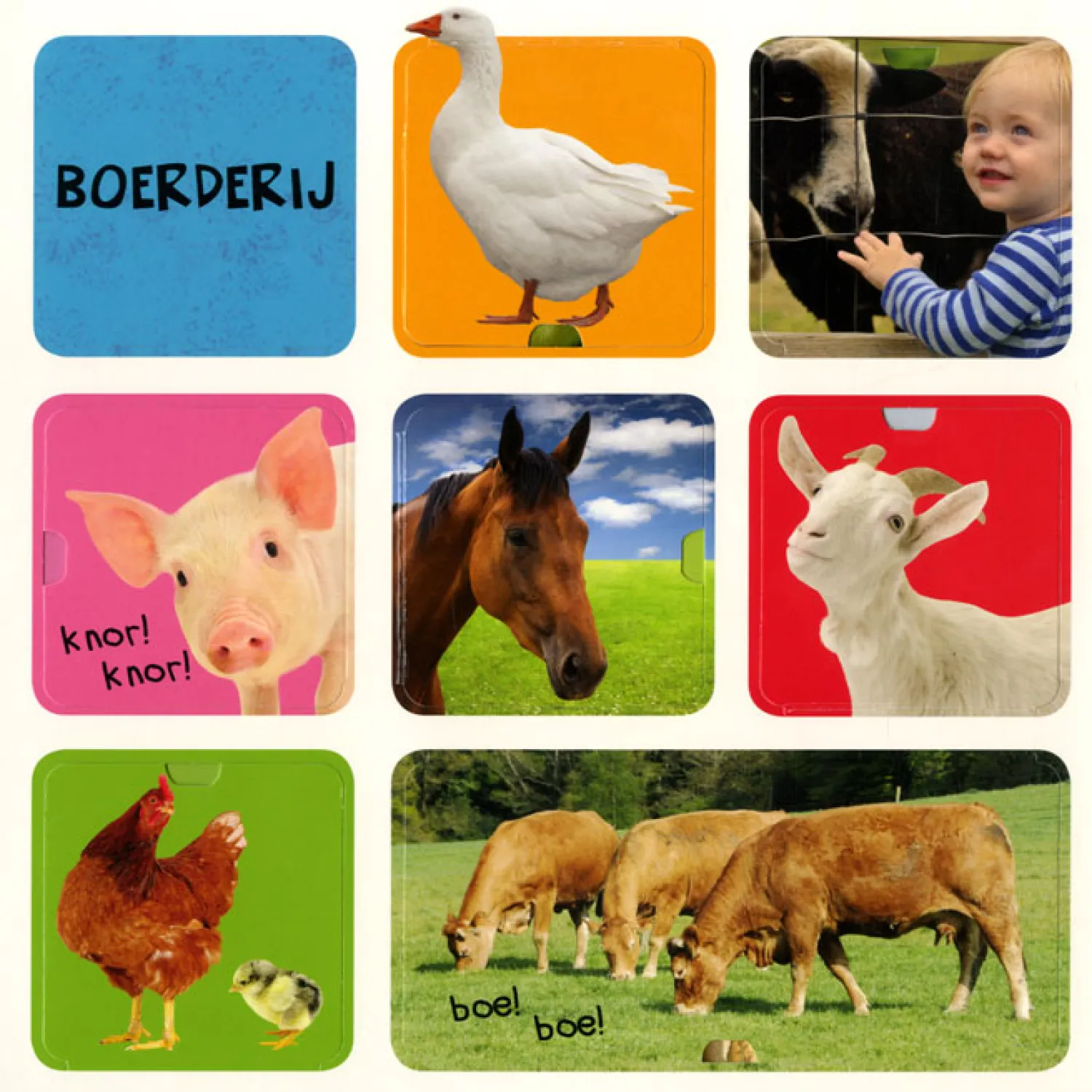 Mijn eerste flapjesboek 100 dieren- Online