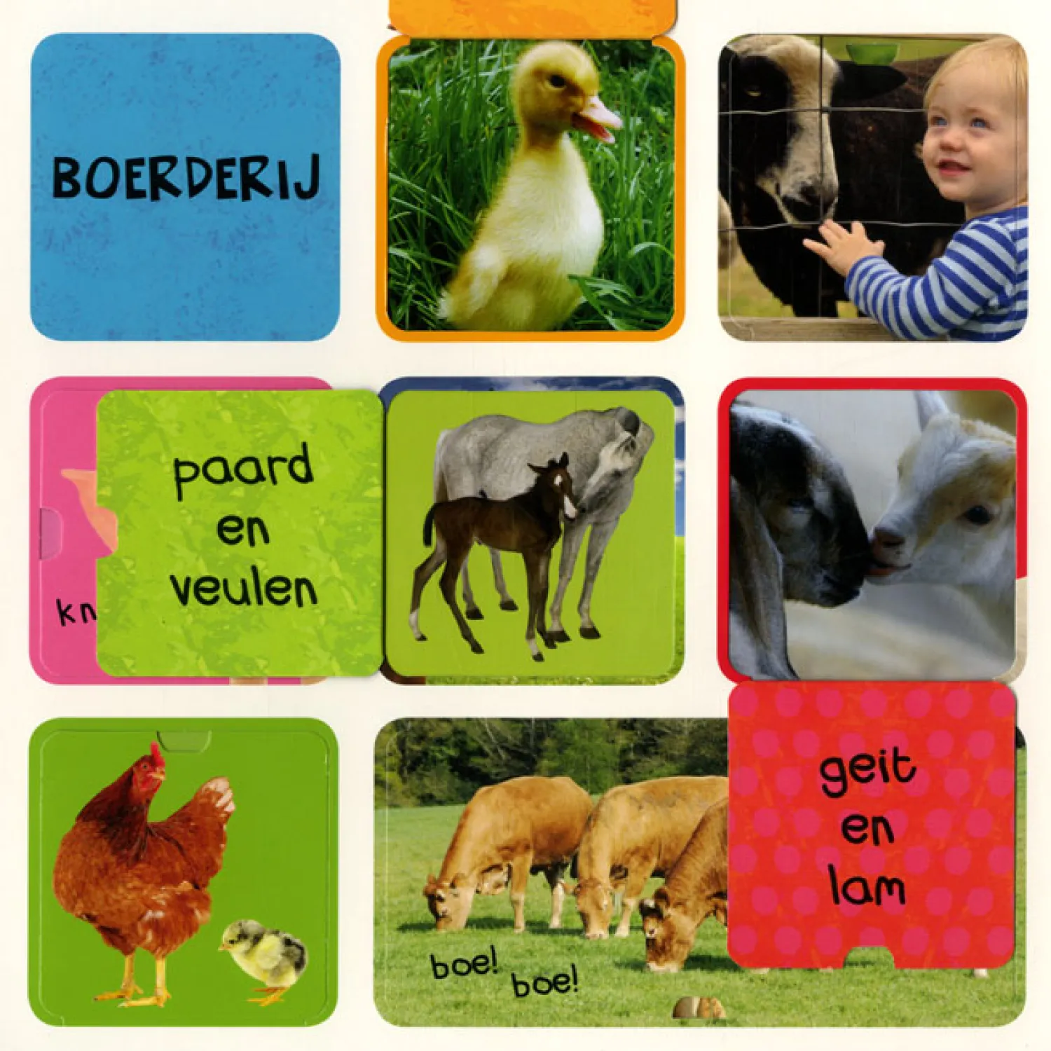 Mijn eerste flapjesboek 100 dieren- Online