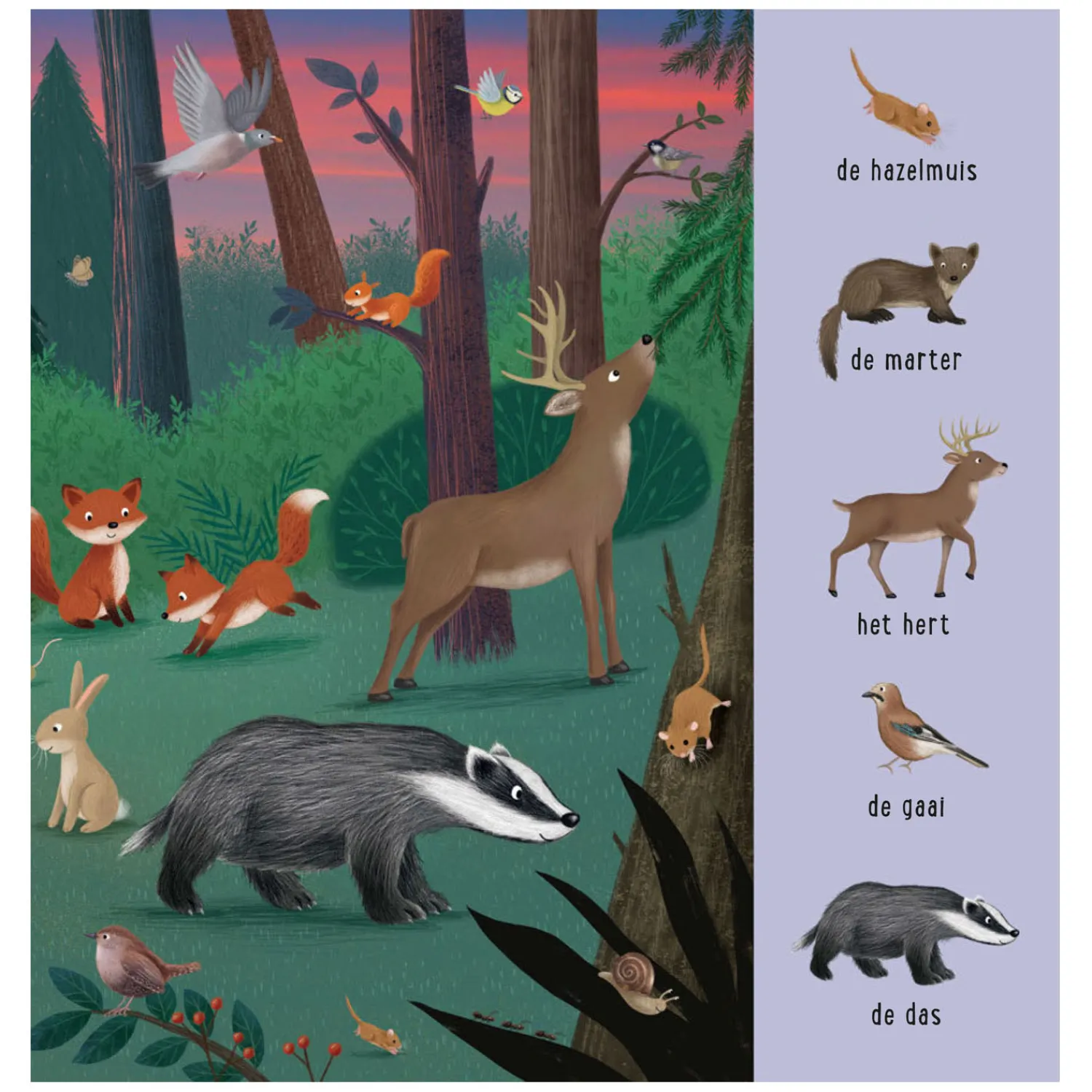 Mijn Eerste Zoekboek - Dieren Uit De Hele Wereld-Deltas Best