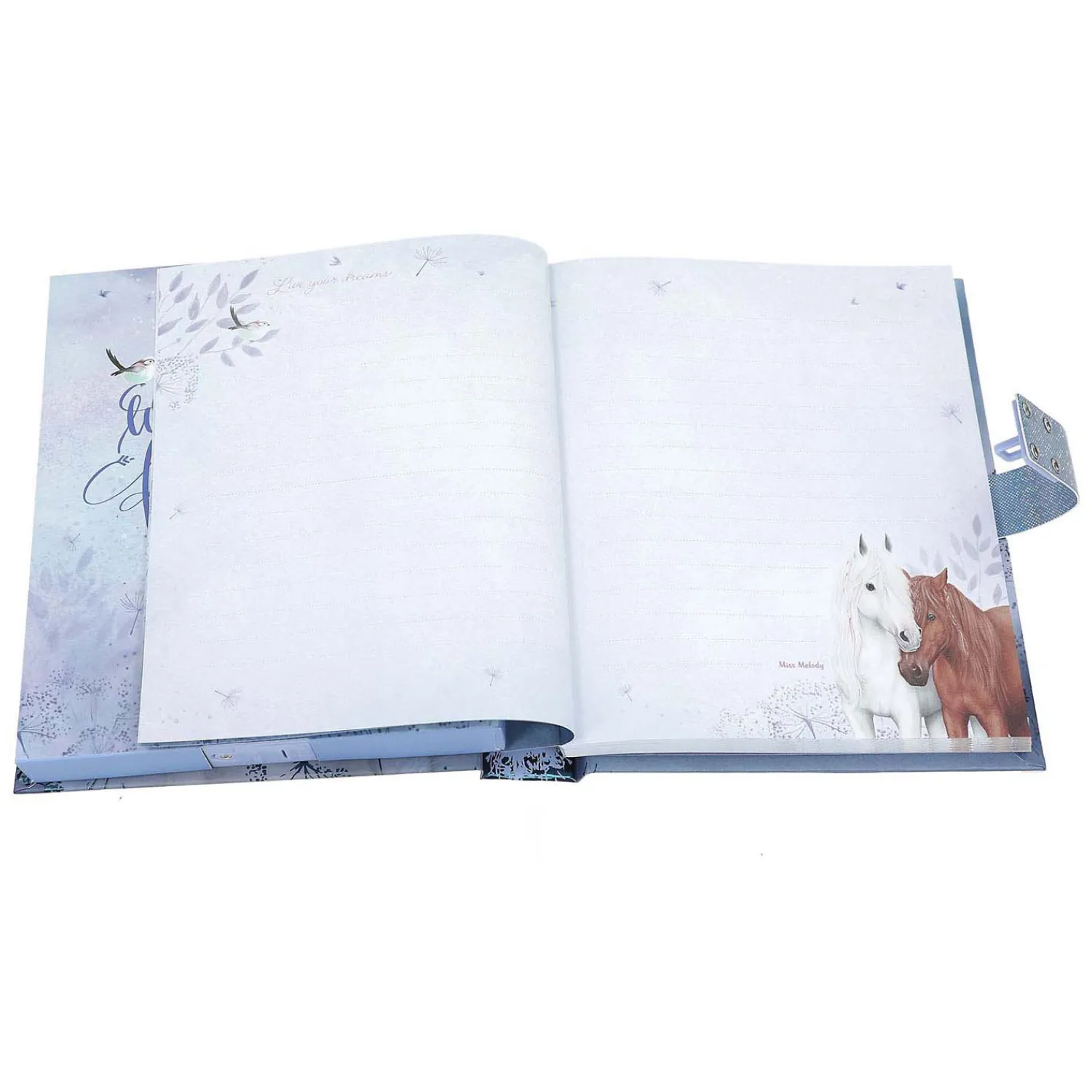 Miss Melody Dagboek met Code en Geluid Online