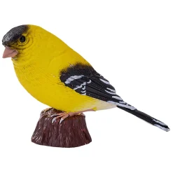 Farmland Amerikaanse Goudvink - 381111-Mojo