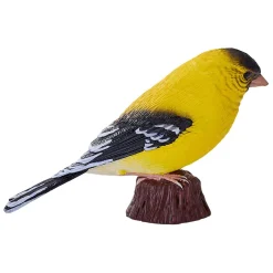 Farmland Amerikaanse Goudvink - 381111-Mojo