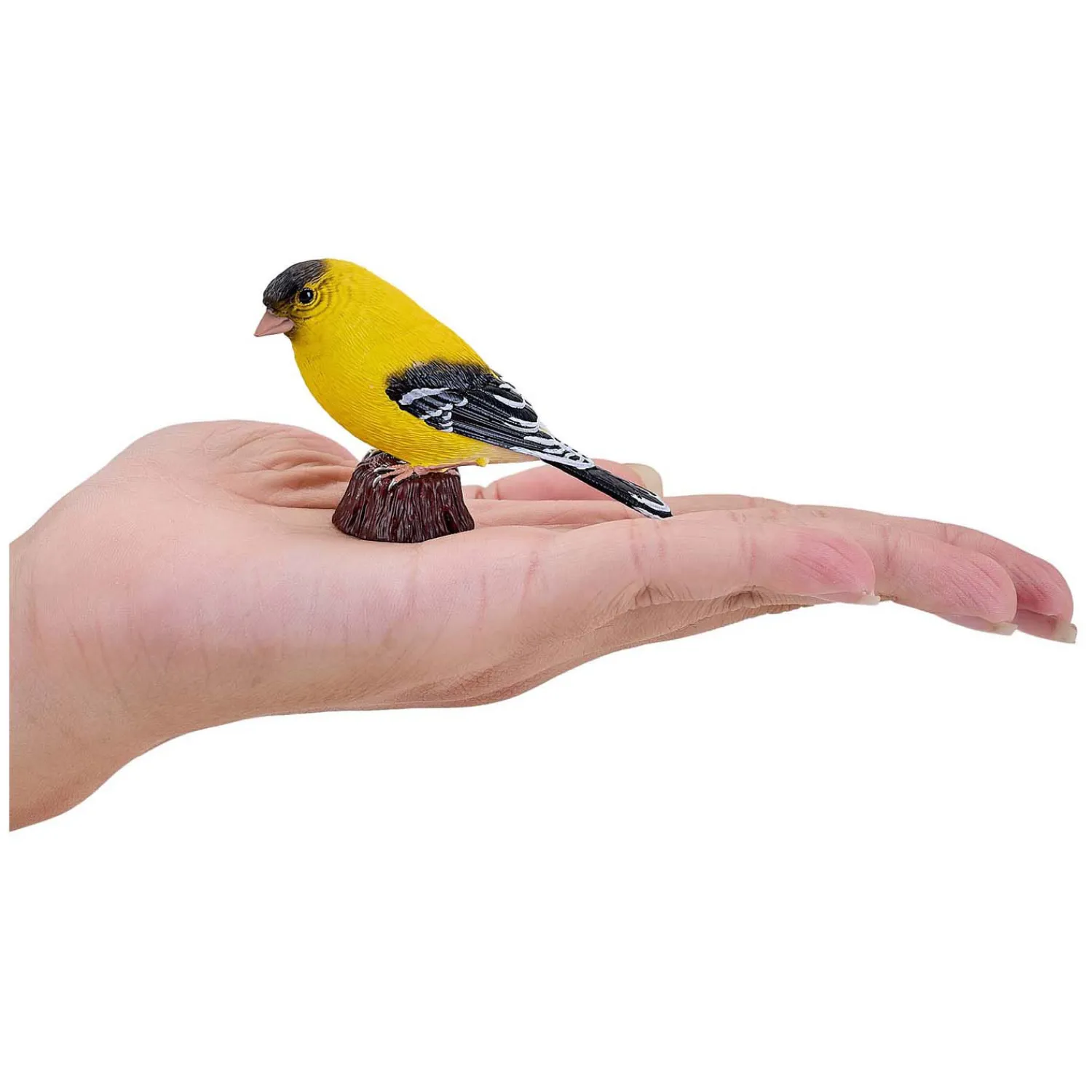 Farmland Amerikaanse Goudvink - 381111-Mojo