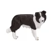 Farmland Border Collie - 387203>Mojo New