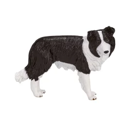 Farmland Border Collie - 387203>Mojo New