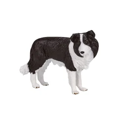 Farmland Border Collie - 387203>Mojo New
