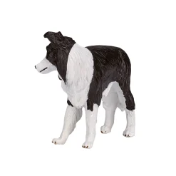 Farmland Border Collie - 387203><noscript><img width=