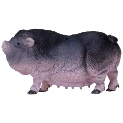 Farmland Buikzwijn - 381079-Mojo Hot