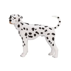 Farmland Dalmatiër - 387248-Mojo