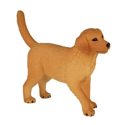 Mojo Farmland Golden Retriever Puppy - 387205 Sale