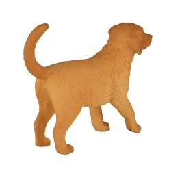 Mojo Farmland Golden Retriever Puppy - 387205 Sale
