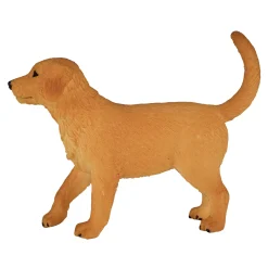 Mojo Farmland Golden Retriever Puppy - 387205 Sale