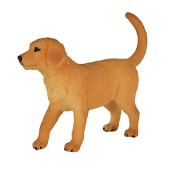 Mojo Farmland Golden Retriever Puppy - 387205 Sale