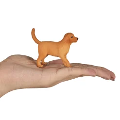 Mojo Farmland Golden Retriever Puppy - 387205 Sale