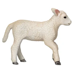 Farmland Romney Lam Rennend  - 381066><noscript><img width=