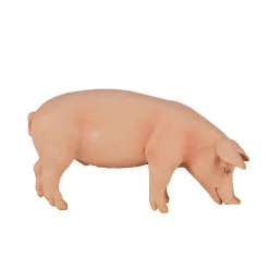 Farmland Varken Zwijn - 387080-Mojo Clearance