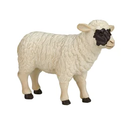 Farmland Zwartkopschaap Ooi - 387058>Mojo Hot