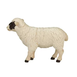 Farmland Zwartkopschaap Ooi - 387058><noscript><img width=