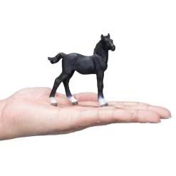 Mojo Horse World Hannoveraans Veulen Zwart - 381000 Hot