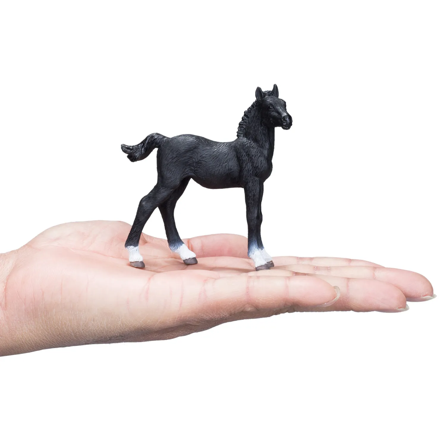 Mojo Horse World Hannoveraans Veulen Zwart - 381000 Hot