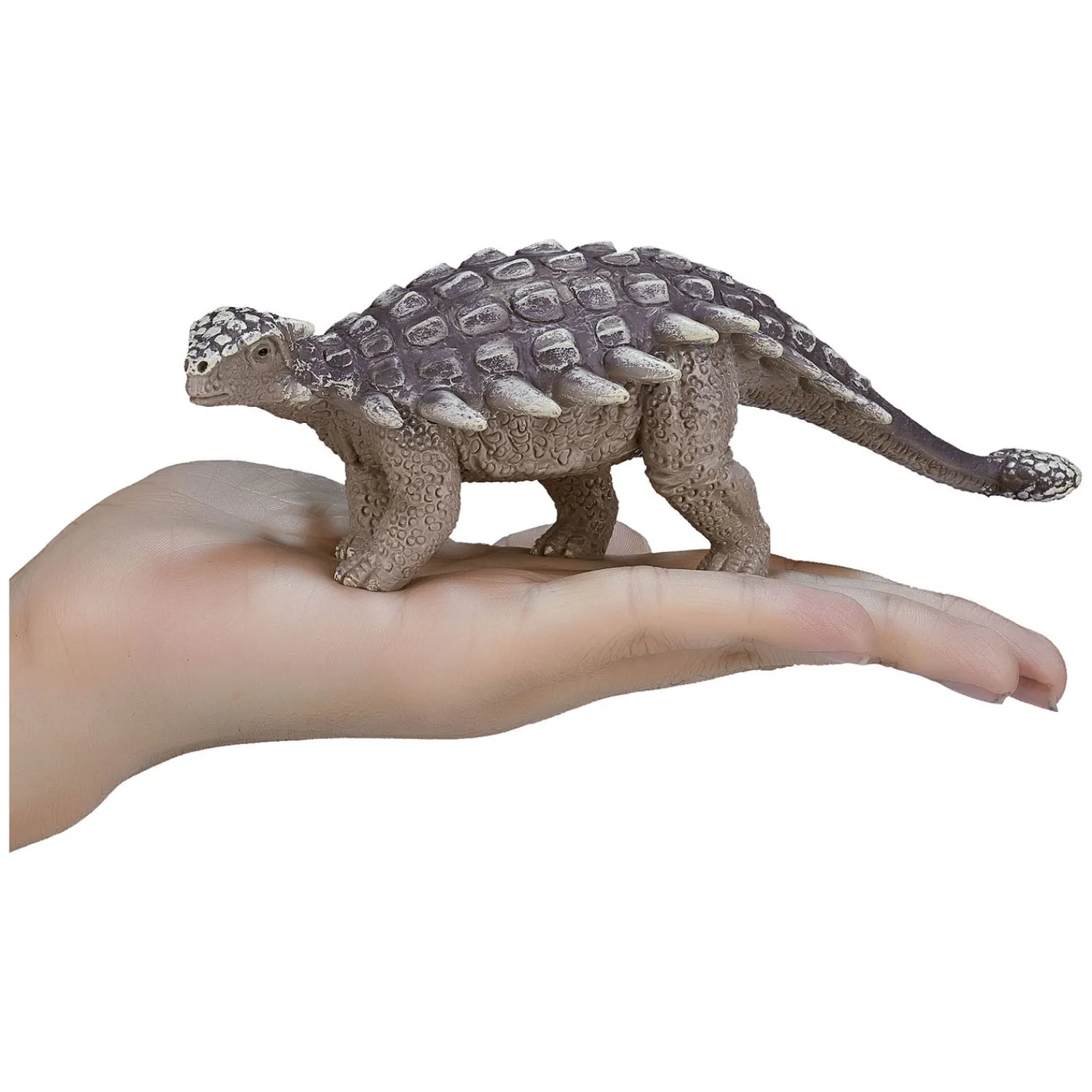 Prehistorie Ankylosaurus - 387234>Mojo