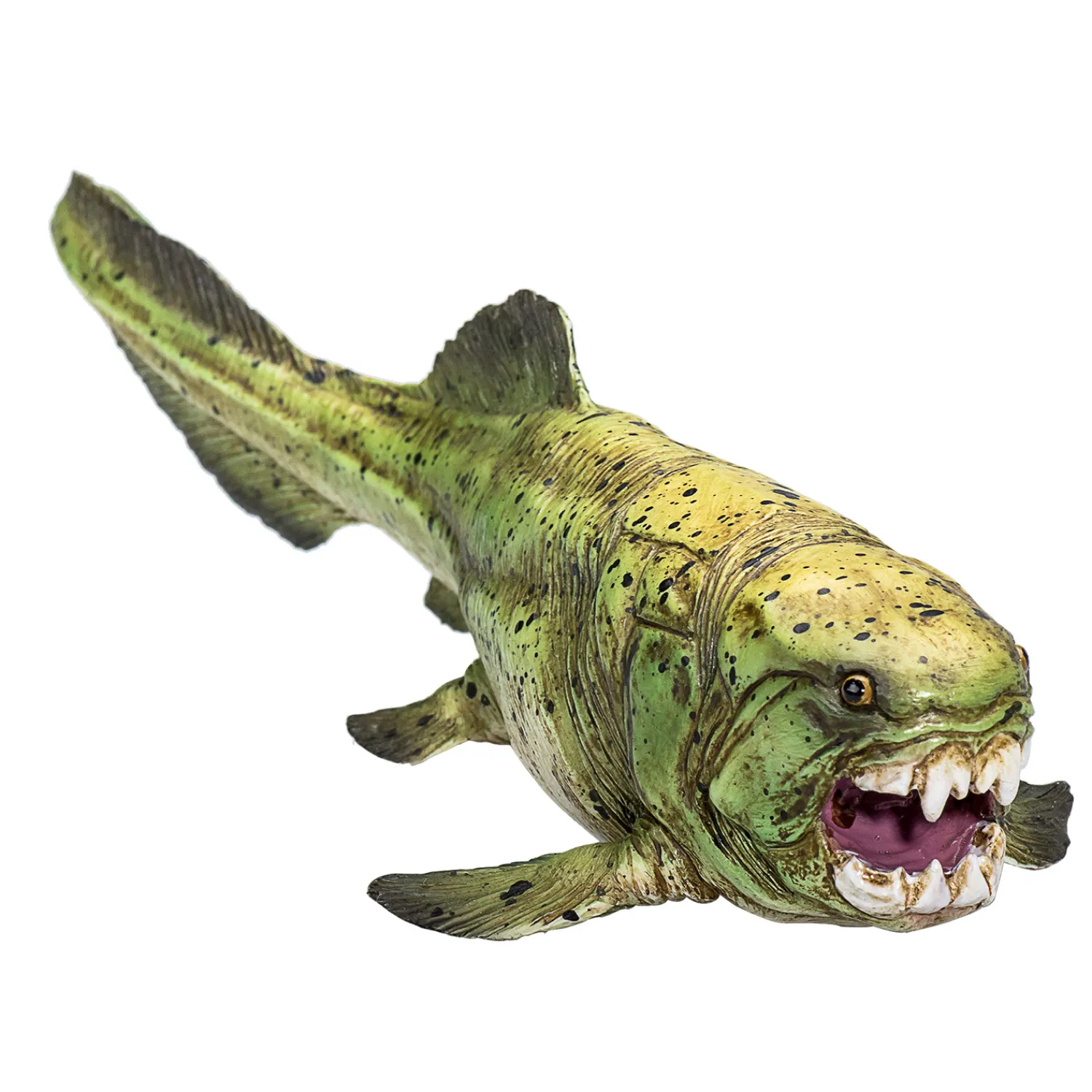 Prehistorie Dunkleosteus - 387374>Mojo Online
