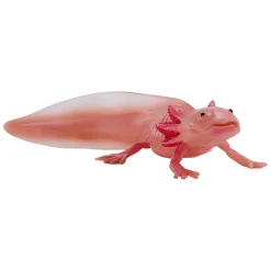 Wildlife Axolotl 381108>Mojo Online