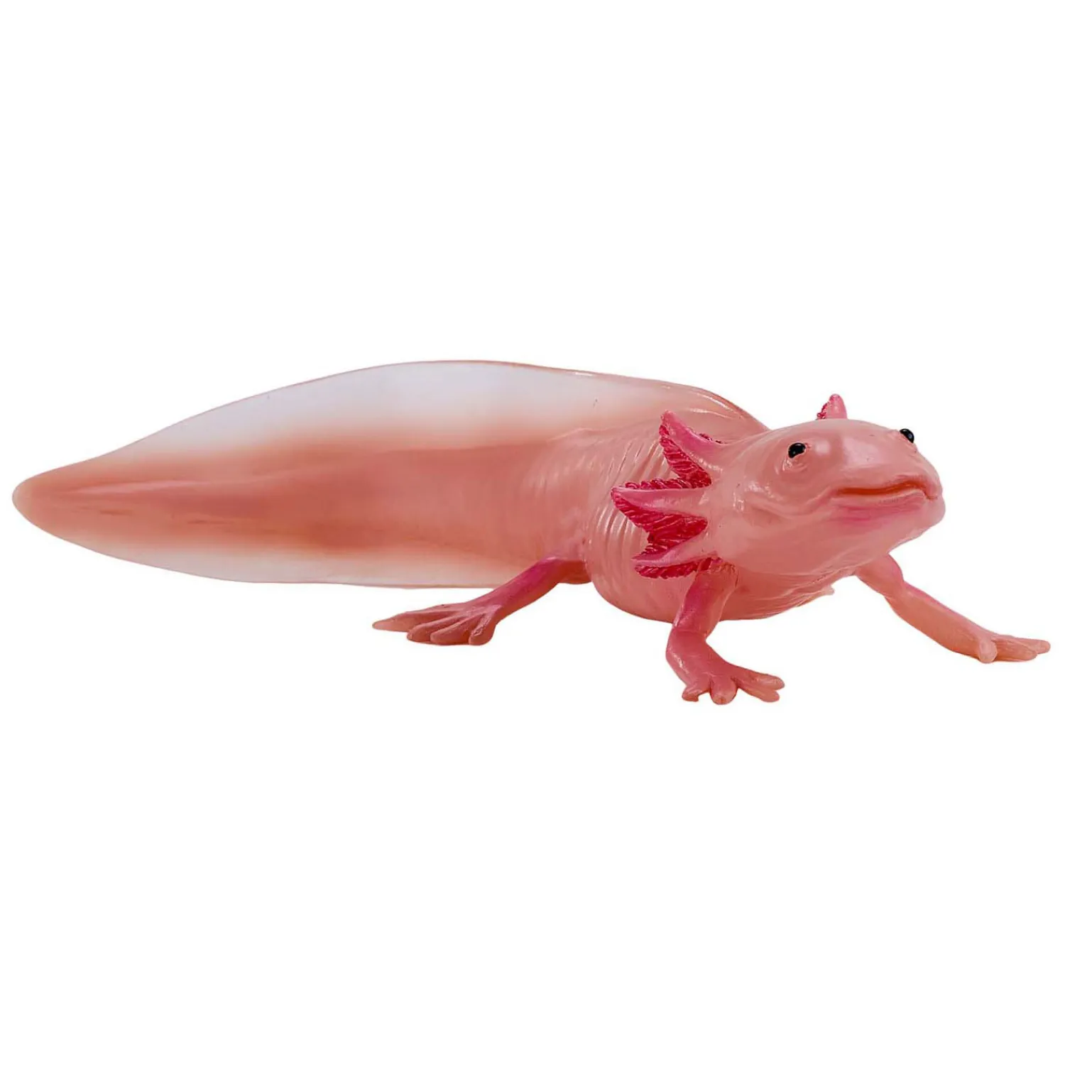 Wildlife Axolotl 381108>Mojo Online