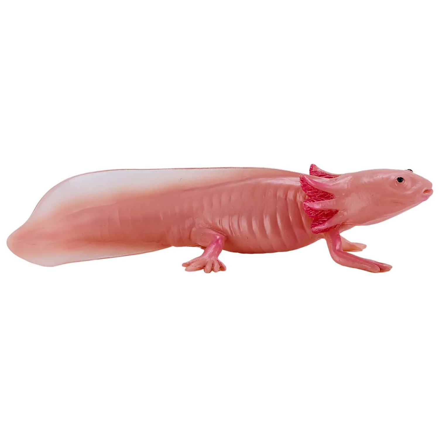 Wildlife Axolotl 381108>Mojo Online