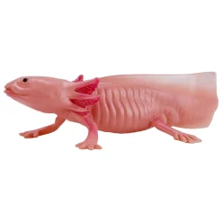 Wildlife Axolotl 381108><noscript><img width=