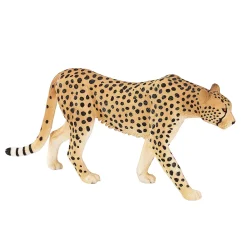 Wildlife Cheetah Man - 387197><noscript><img width=