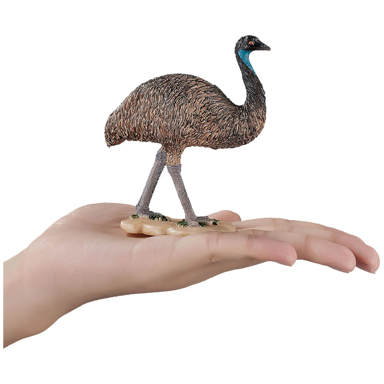 Wildlife Emoe - 387163-Mojo Online