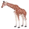 Wildlife Giraf Vrouwtje - 381033-Mojo Online