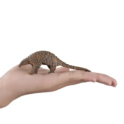 Wildlife Indisch Schubdier - 387174><noscript><img width=