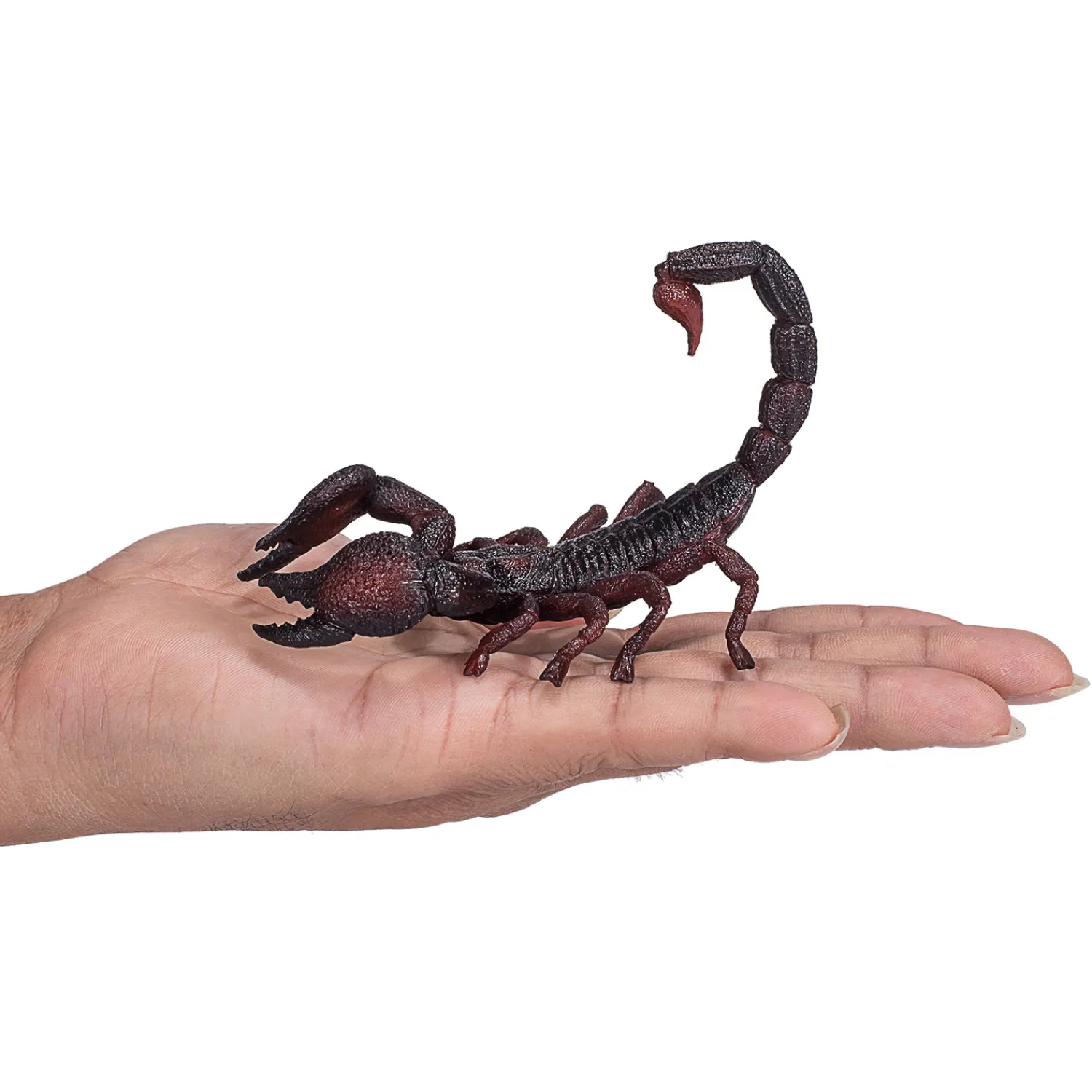 Wildlife Keizer Schorpioen - 387133-Mojo