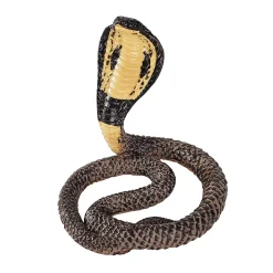 Wildlife Koningscobra - 387126>Mojo