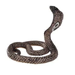 Wildlife Koningscobra - 387126>Mojo