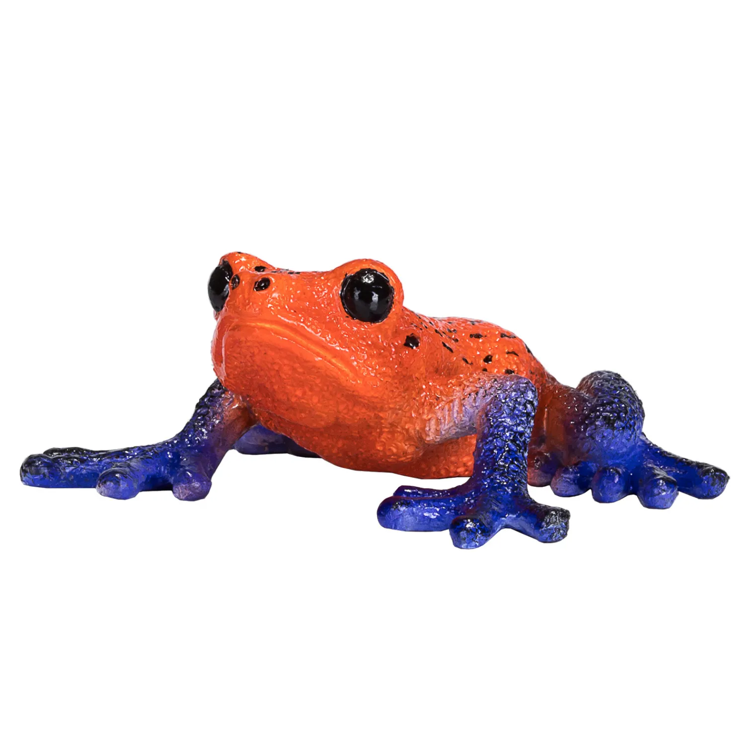 Wildlife Pijlgifboomkikker - 381016>Mojo Sale