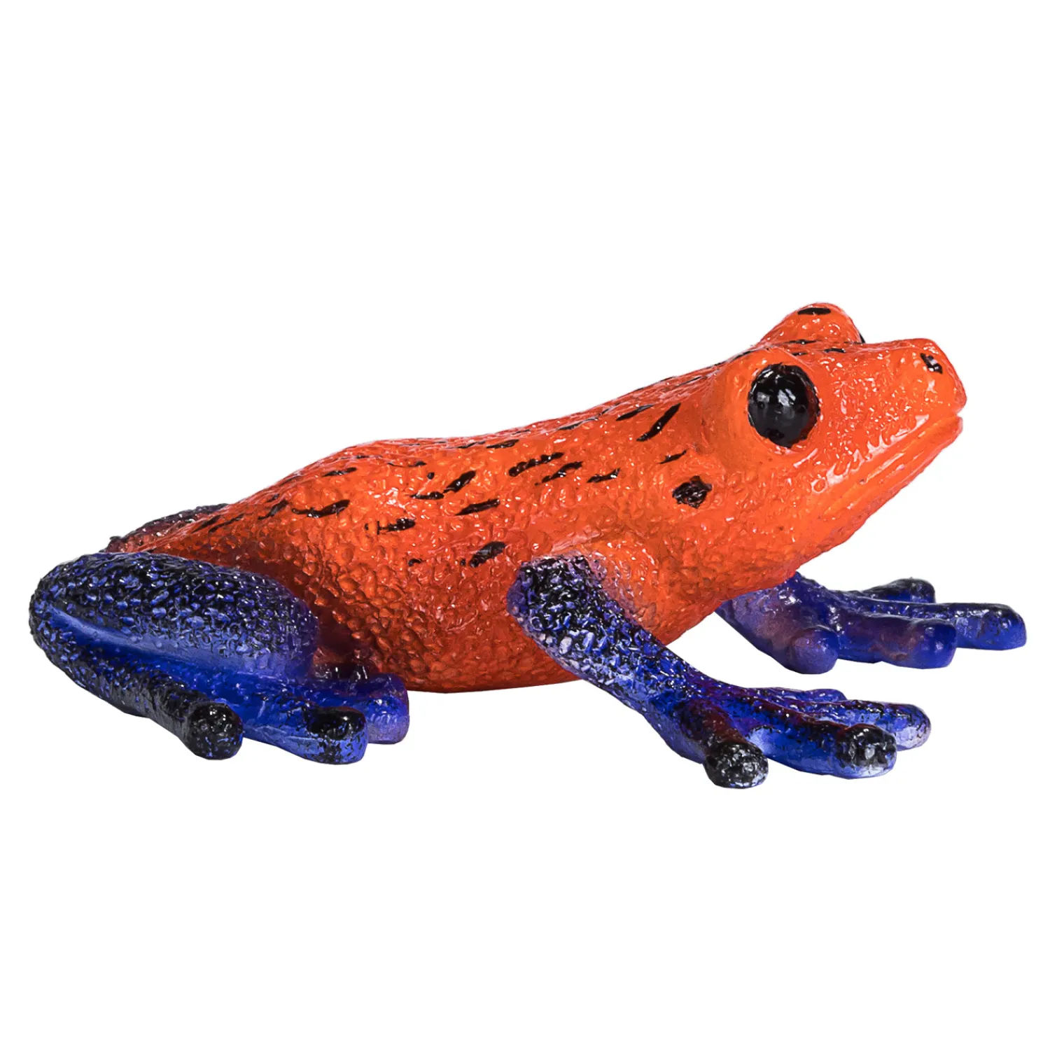 Wildlife Pijlgifboomkikker - 381016>Mojo Sale